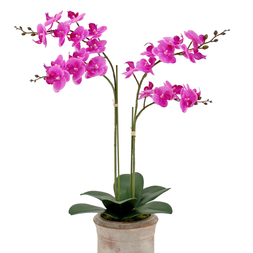 Artificial 2-Stem Phalaenopsis Pink Orchid