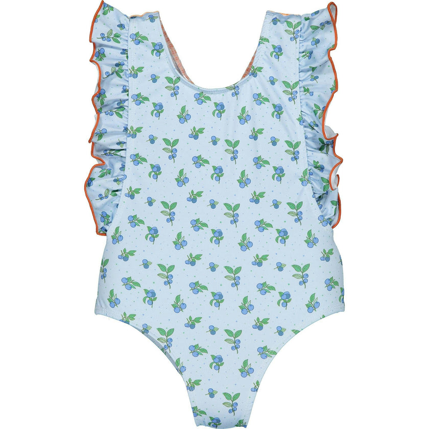 Blueberry Print Vichy Swimsuit, Multi