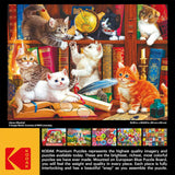 RoseArt: Library Mischief - 1000 Piece Puzzle
