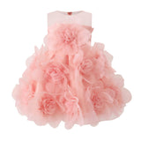 Rose Briellea Embellished Sleeveless Dress