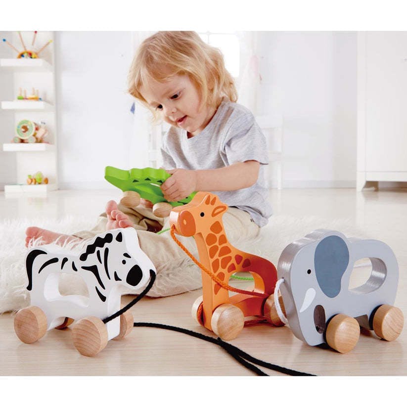 Hape: Push & Pull - Gray - Wooden Toy