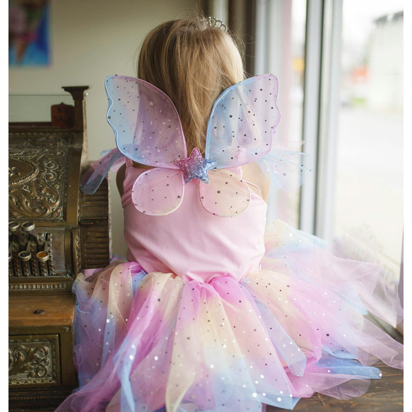Rainbow Fairy Dress & Wings