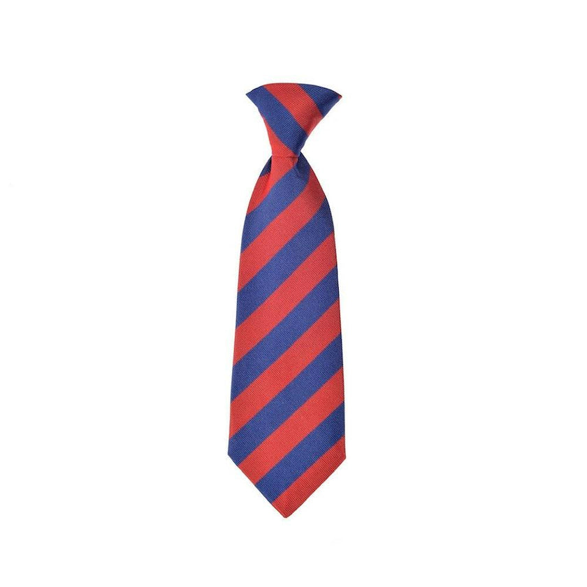 Cherwell Silk Neck Tie - Blue & Red Varsity Stripes