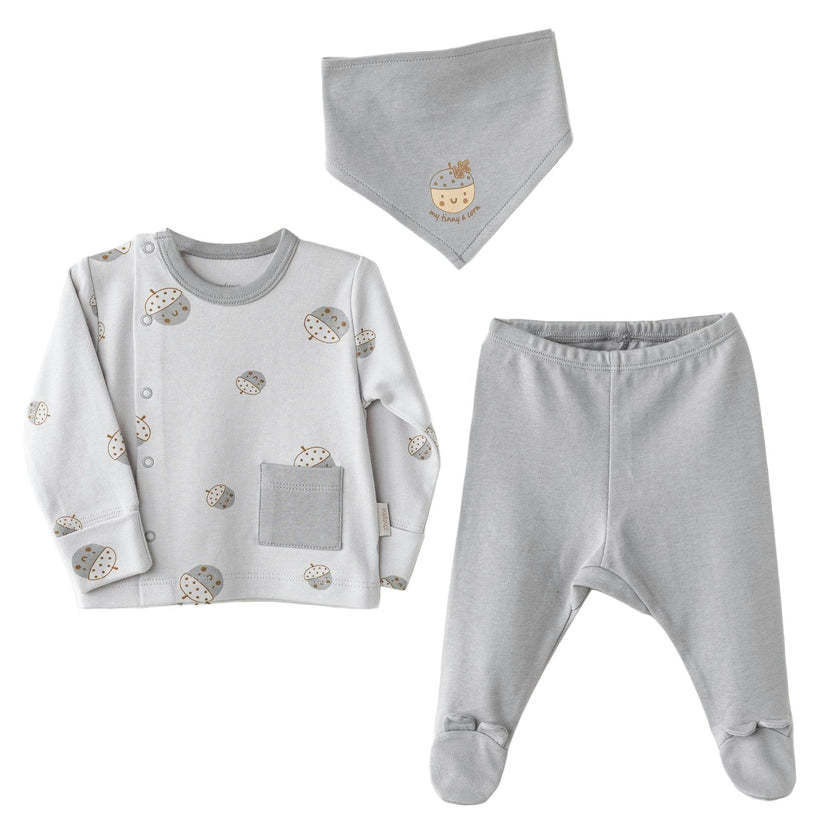 Hedgehog Hideaway Set