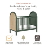 Babyletto Bondi Cane 3-in-1 Convertible Crib with Toddler Bed Conversion Kit