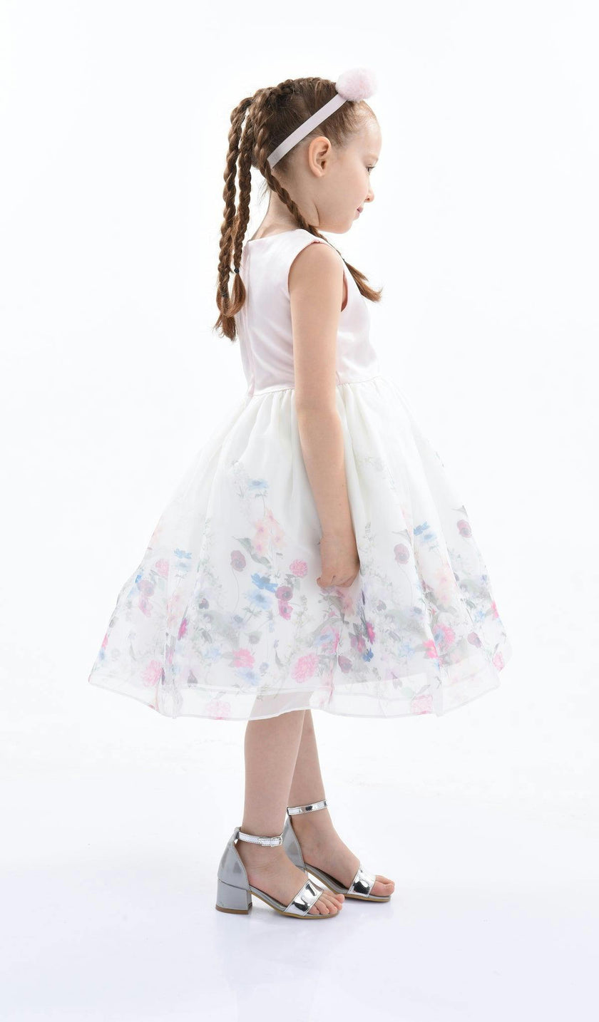 Pink Mabel Floral Garden Organza Dress