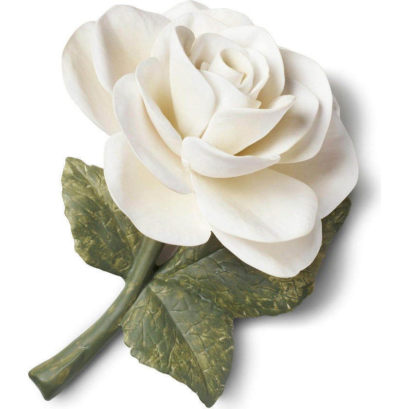 Porcelain Rose