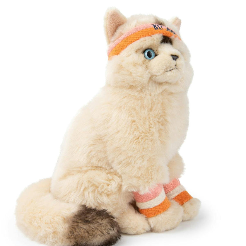 Plush BT CHAPS Dolly the Ragdoll ECO 7"