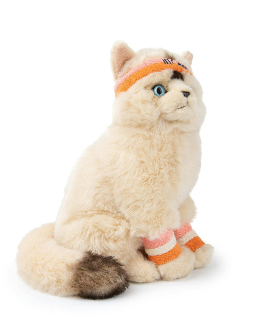 Plush BT CHAPS Dolly the Ragdoll ECO 7"