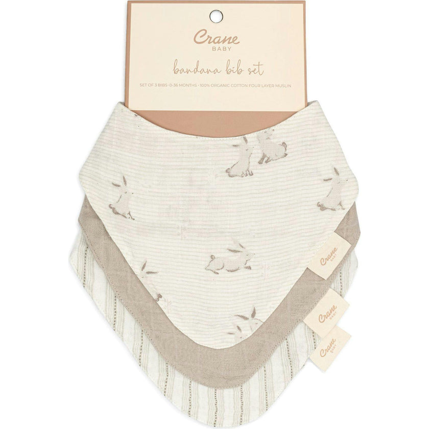 Organic Cotton 3-Piece Bib Set