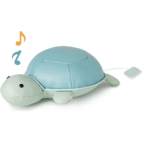 Emilie the Turtle