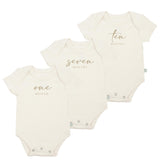 monthly milestone gift set | taupe