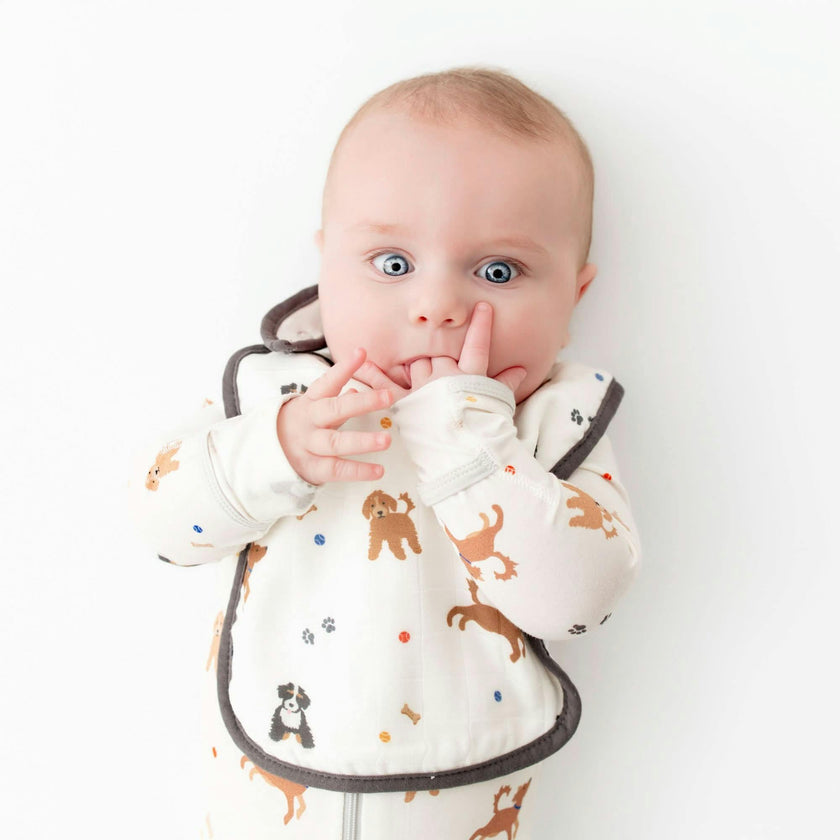 Bib Set
