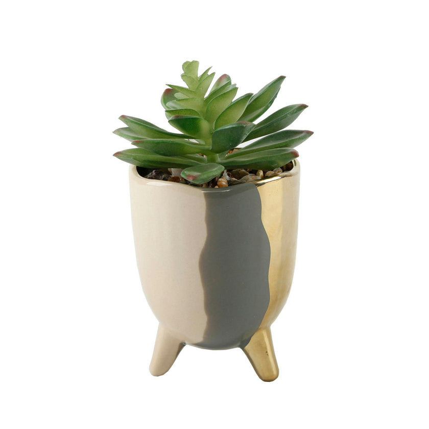 3.75" 3-TONE FOOTED CERAMIC Artificial Succulent  (SM)