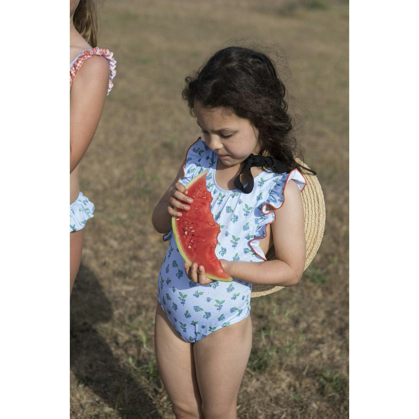 Blueberry Print Vichy Swimsuit, Multi