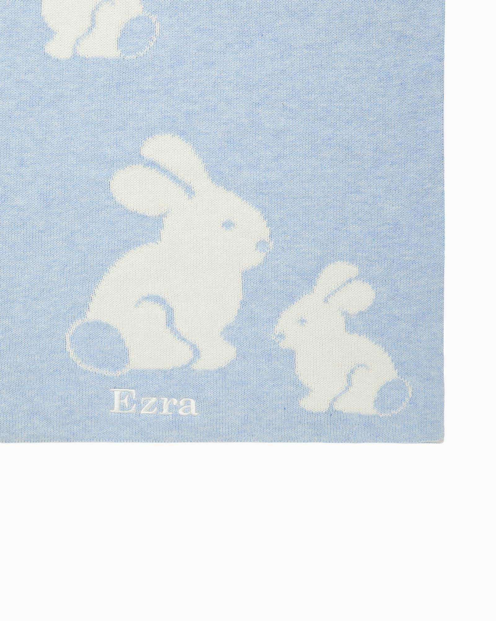 Knitted Bunny Blanket in Pale Blue