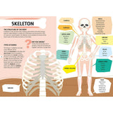 Travel, Learn & Explore: HUMAN BODY