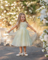 Buttercream Belle Dress
