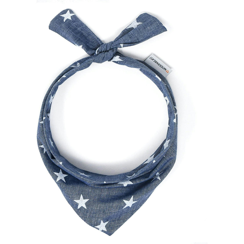 Neckwear, Prints