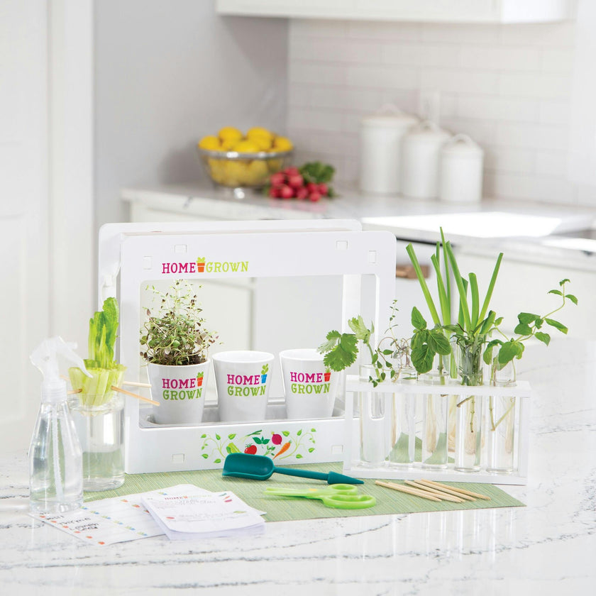 Mindware Home Grown Growing Kit