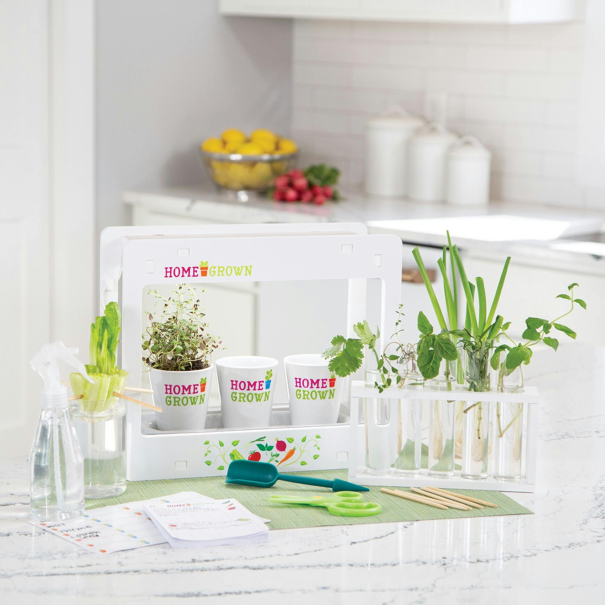 Mindware Home Grown Growing Kit
