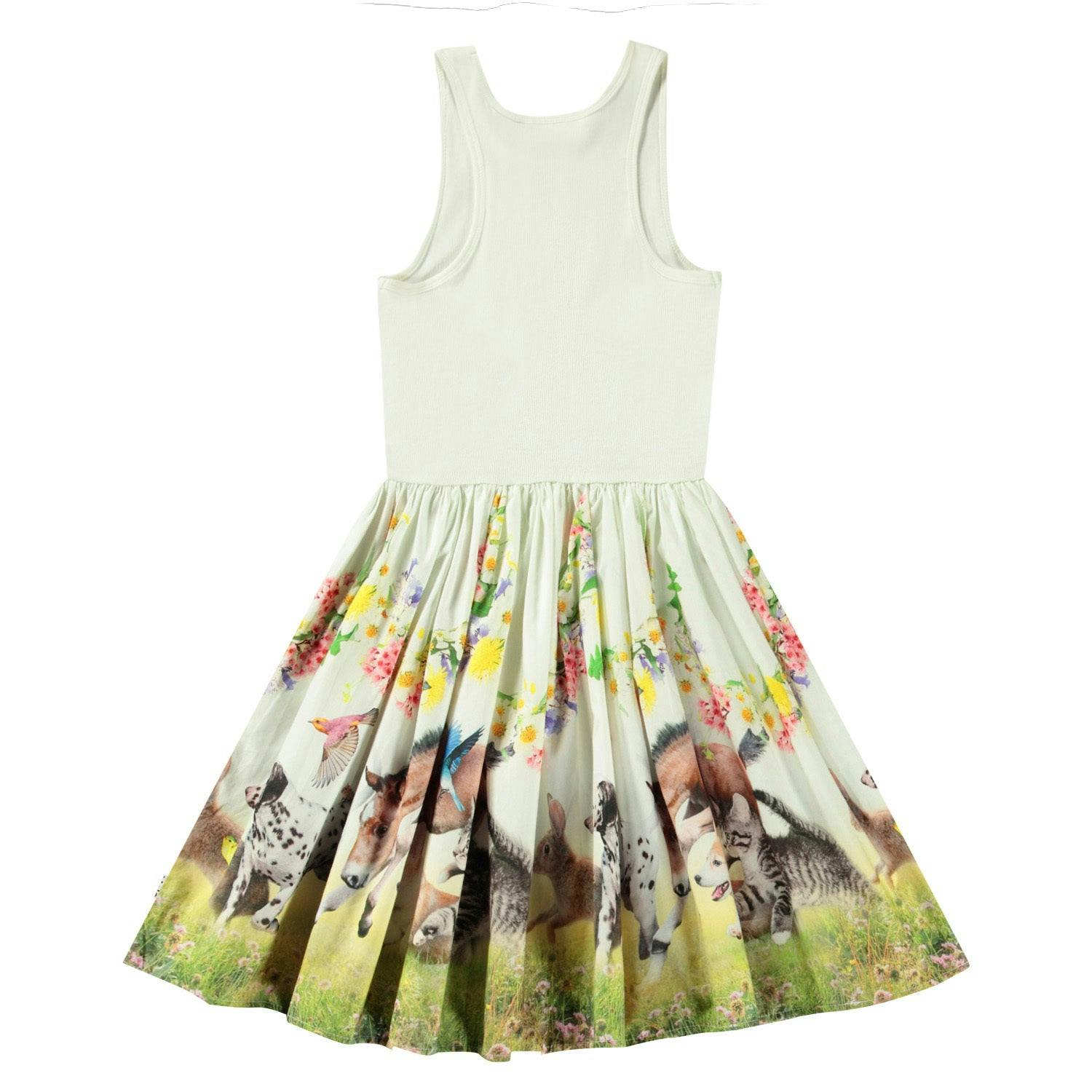 Cassandra Joy Run Dress