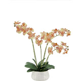 Artificial 4-Stem Phalaenopsis Orange Orchid