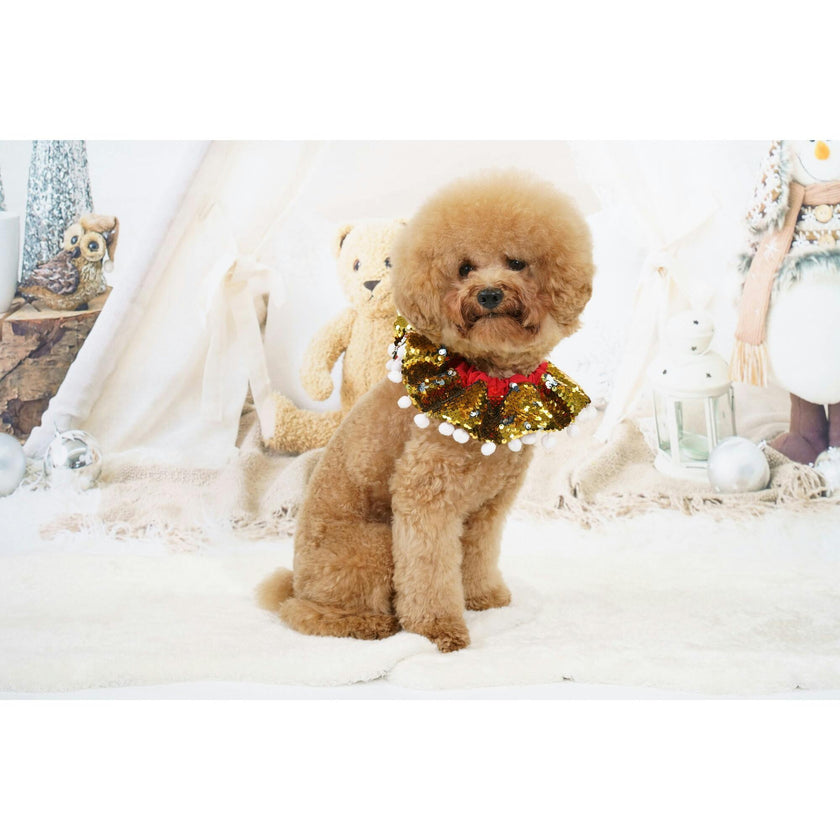 Golden & Silver Sequin Collar W/ White Pom Pom, Gold