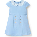 Lace Collar Ponte Dress