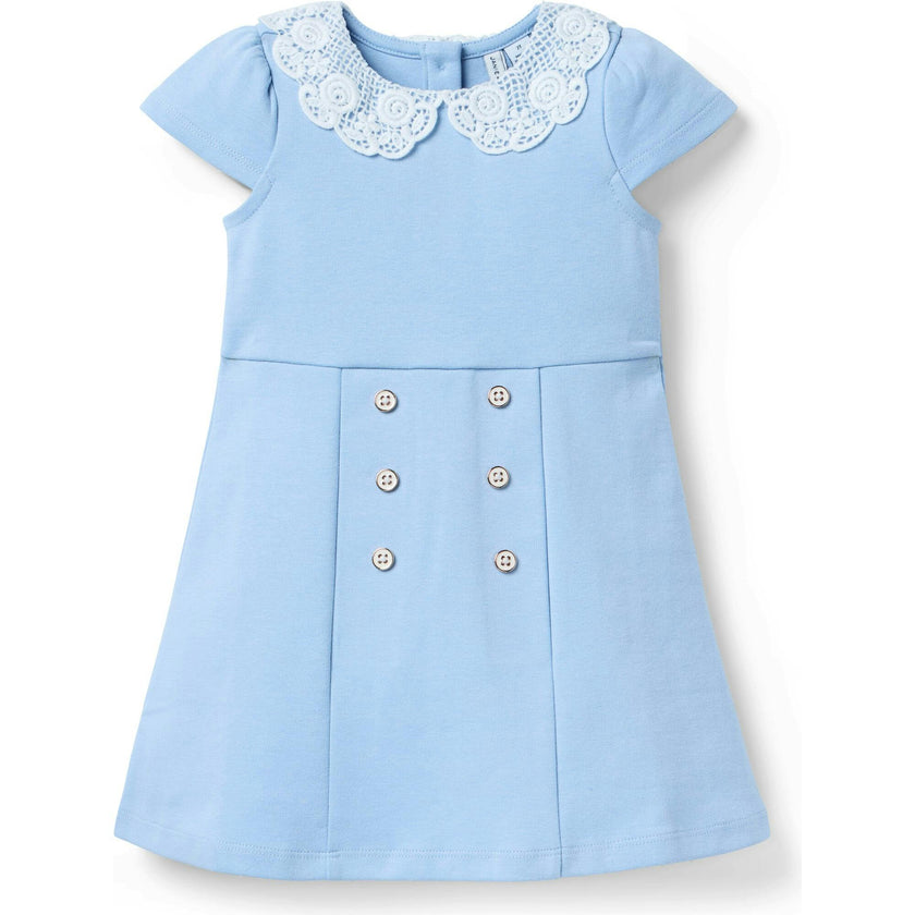 Lace Collar Ponte Dress