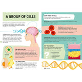 Travel, Learn & Explore: HUMAN BODY