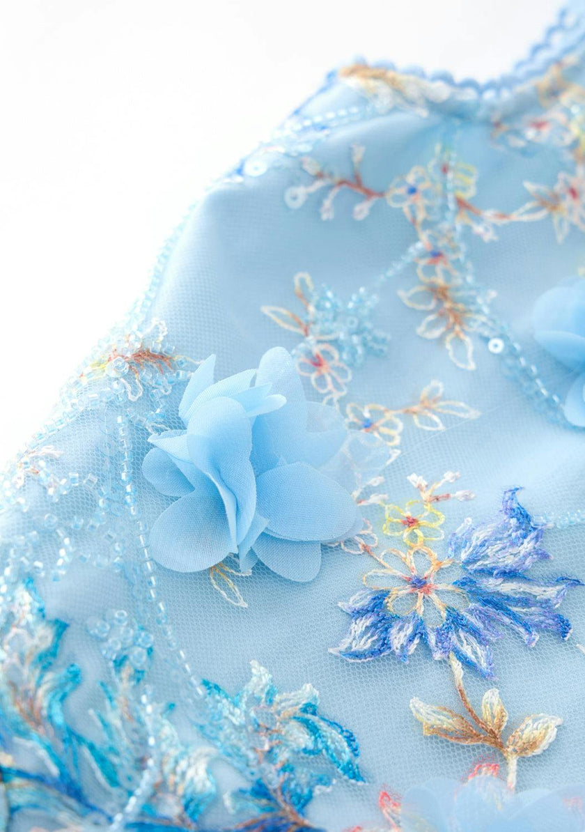 Caitlyn Embroidery Mini Dress