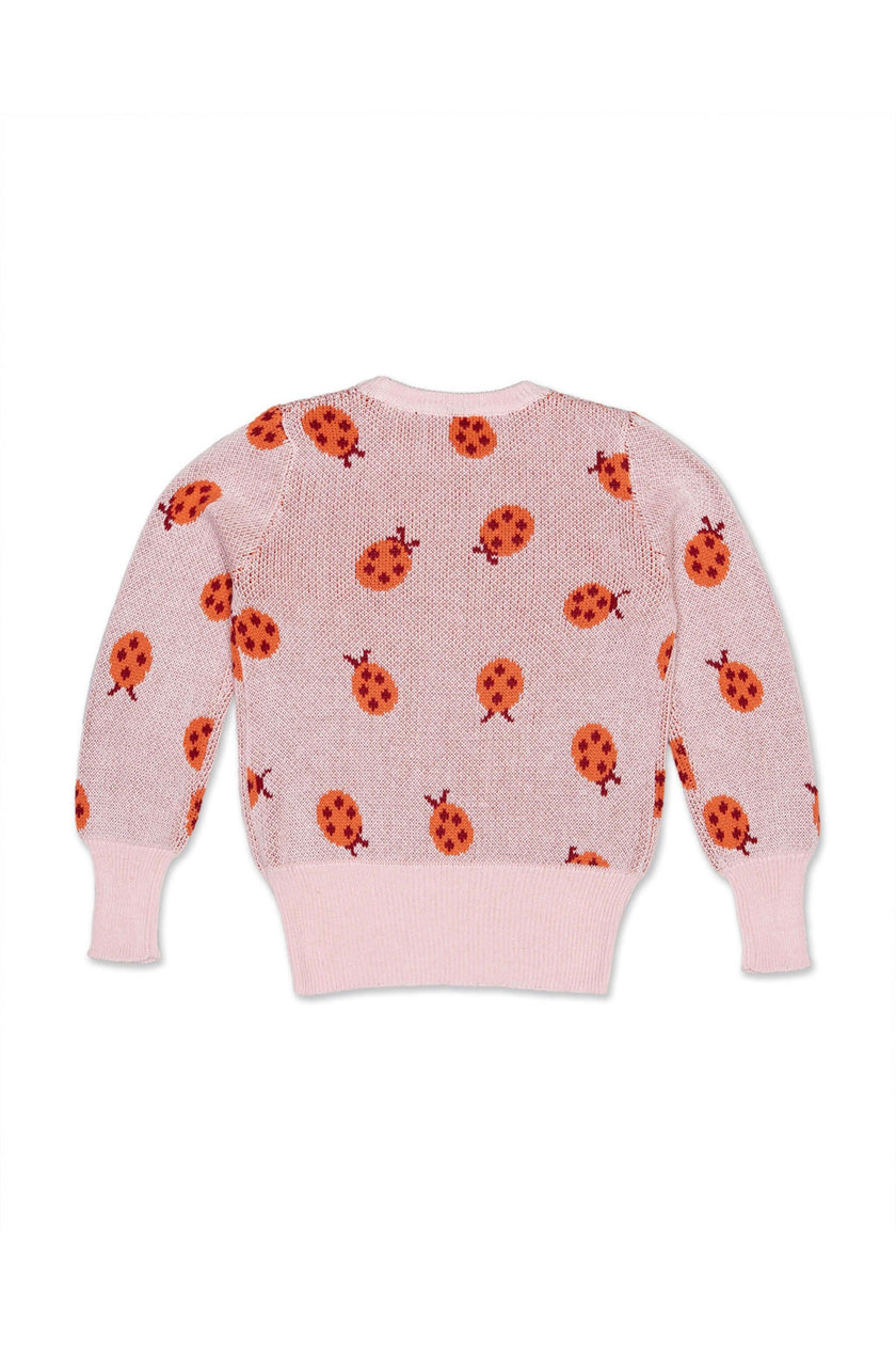 Ladybird Jumper | Rose