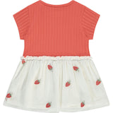 Short Sleeve Dress with Tulle Skirt