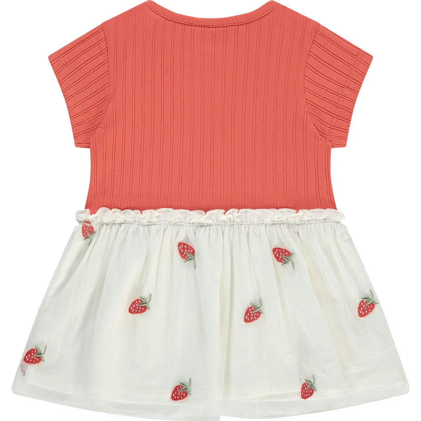 Short Sleeve Dress with Tulle Skirt