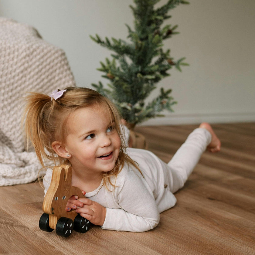 Wee Gallery Push Toy -