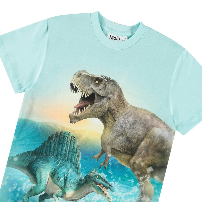 Roxo Dino Splash T-Shirt