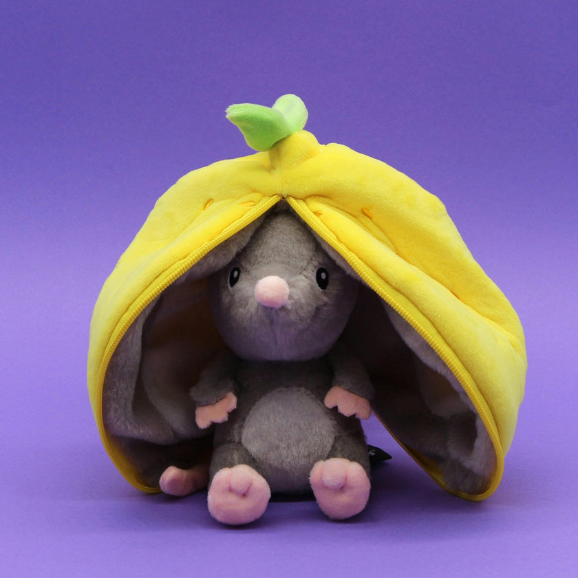 Rocket The Mouse/Lemon - Flipetz