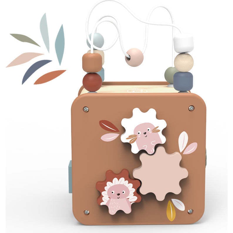 5 in 1 Activity cube