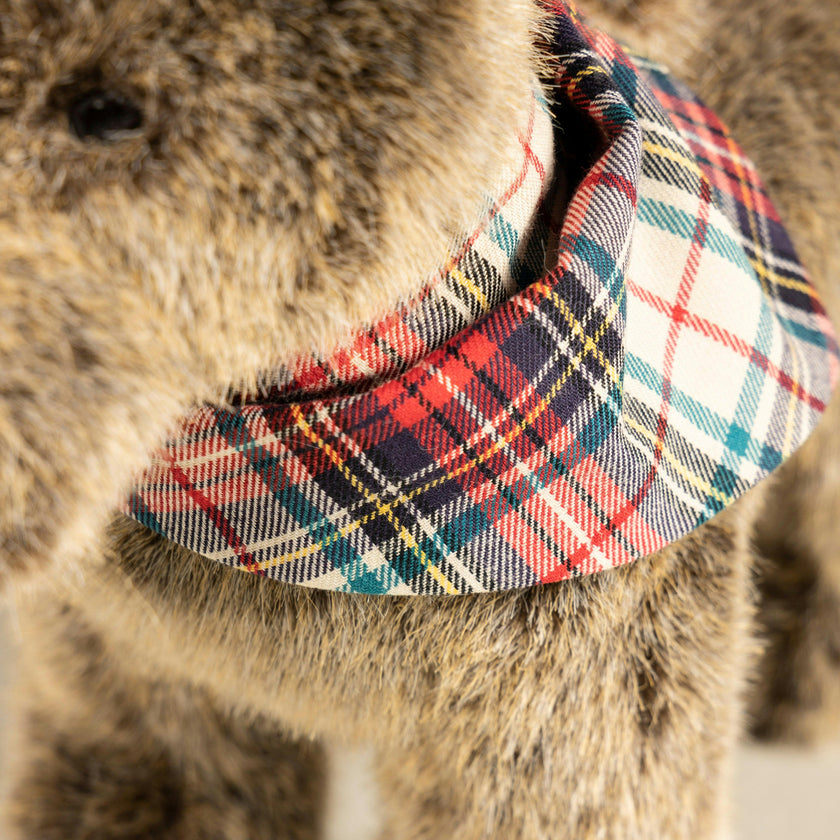 Oscar The Scarf