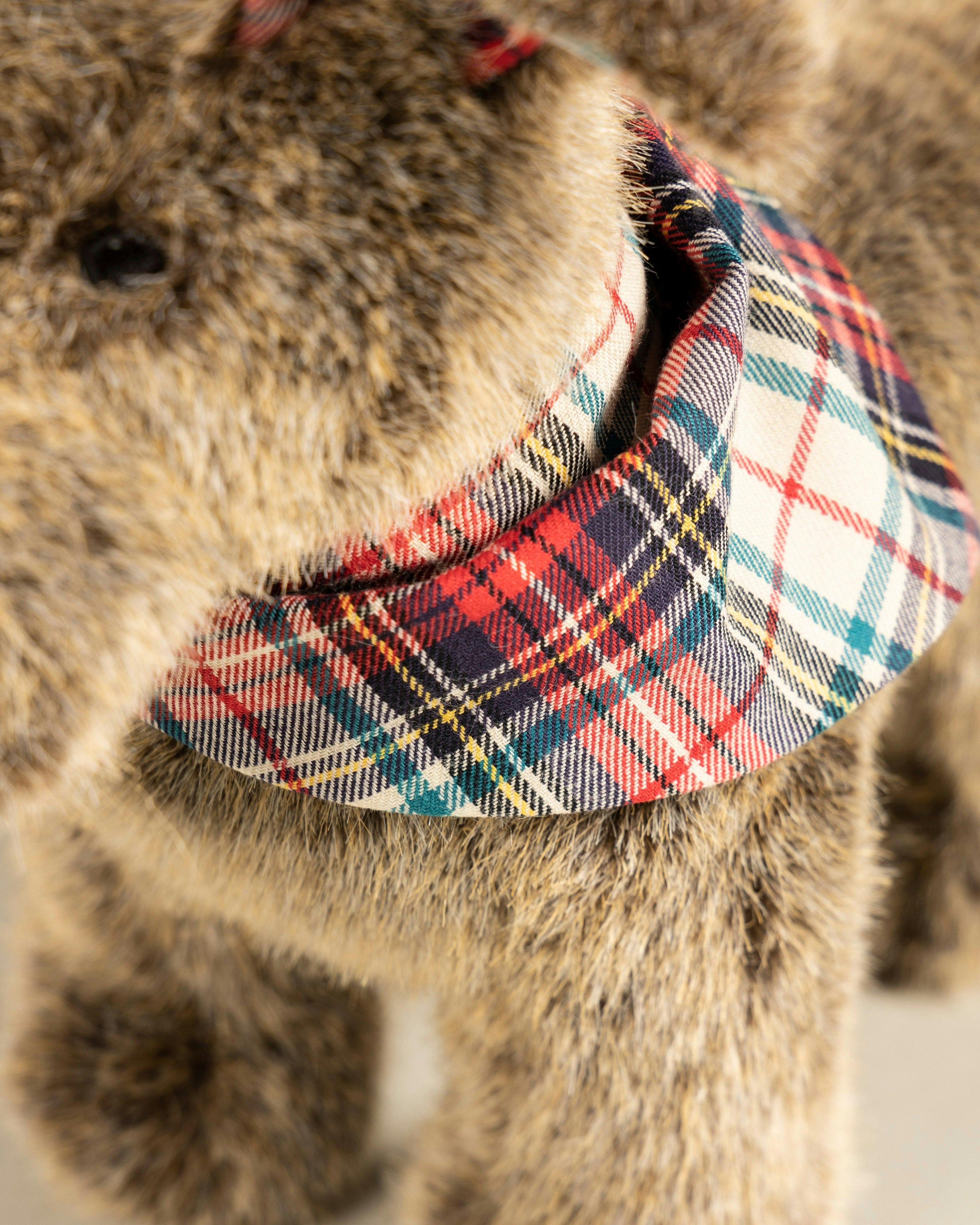 Oscar The Scarf