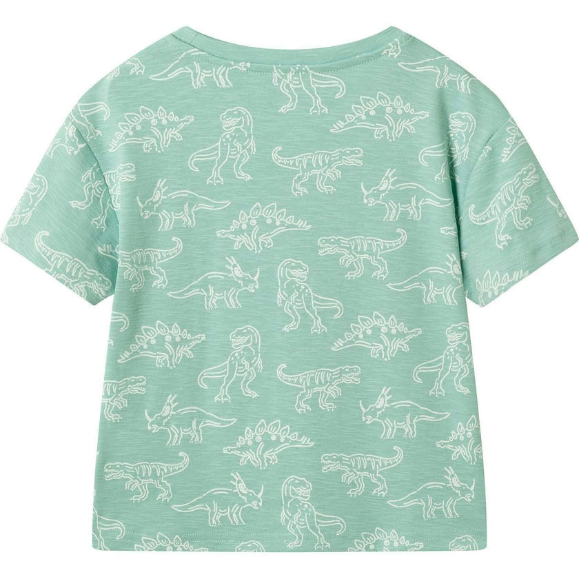 Boys Graphic Tee | Allover Dino