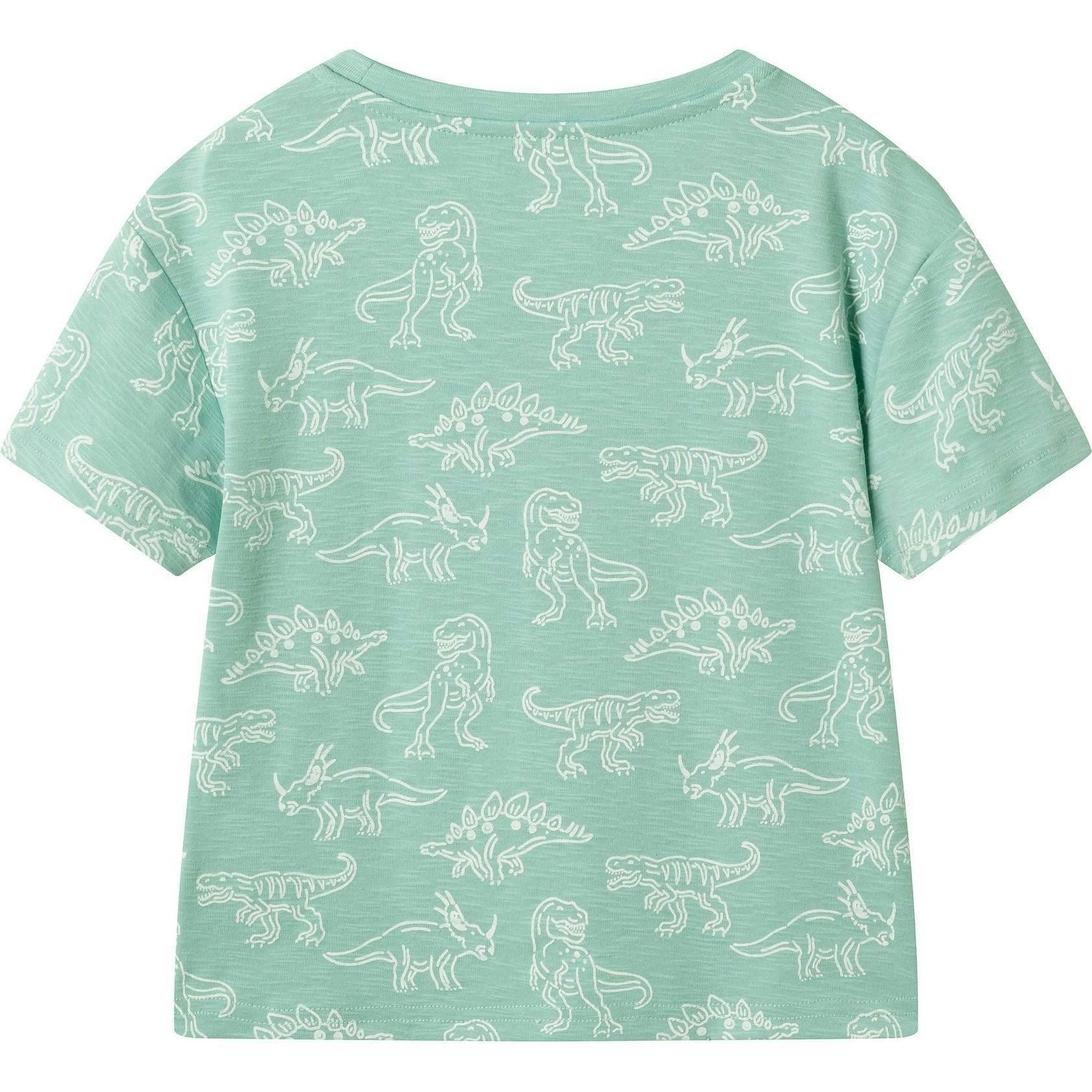 Boys Graphic Tee | Allover Dino