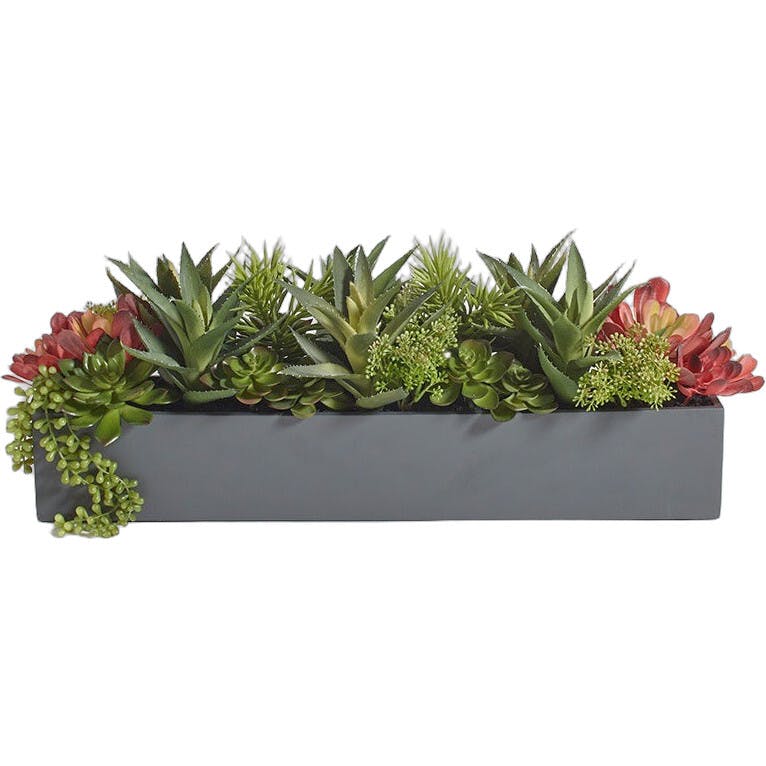 Rectangular Artificial Succulent Arrangement, Gray Planter