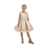 Beige Ashler Sequin Dress