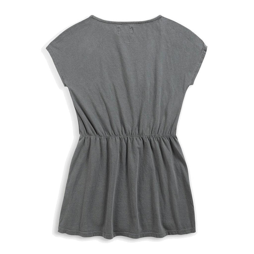 Gray Petunia Graphic Dress