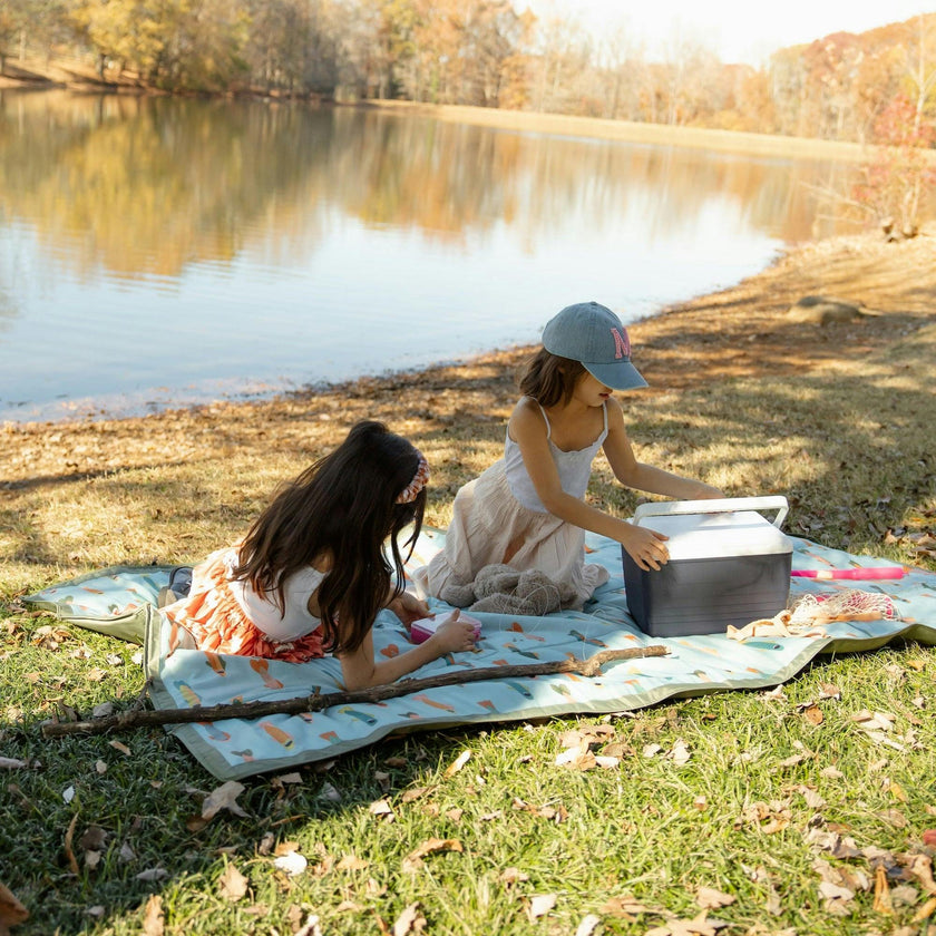 Outdoor Blanket - Minnow Pond