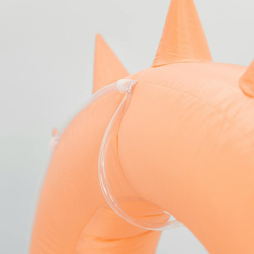 Water Slide - PRE-ORDER DELIVERY BY 11.15