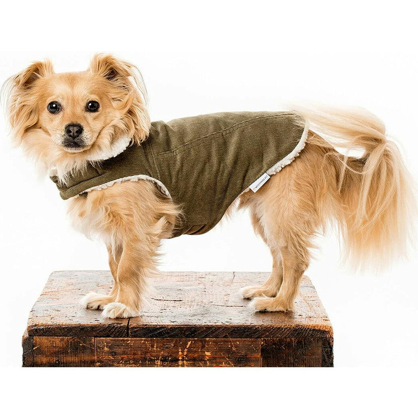 Modern Classic Coat