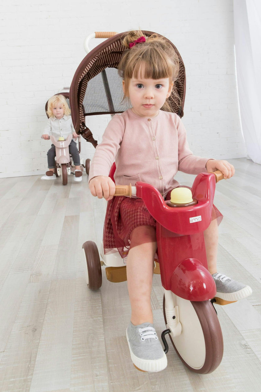 3-in-1 Folding Tricycle